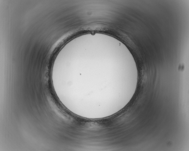 X0000112860392200909111514