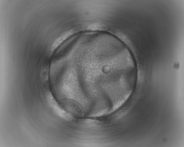 X0000112860393200909111514