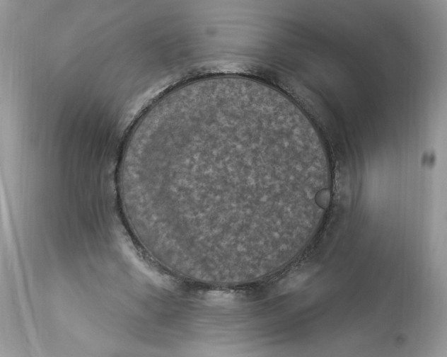 X0000112860394200909111514