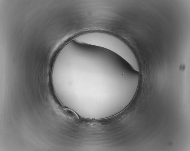 X0000112860395200909111514