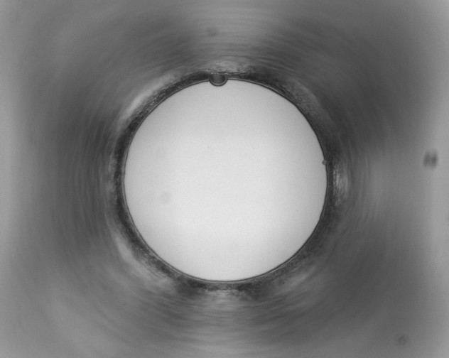 X0000112860396200909111514