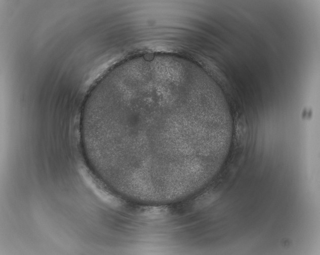 X0000112860398200909111514