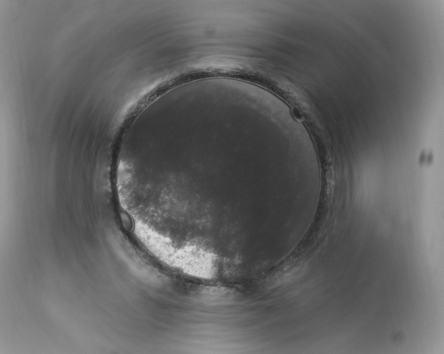 X0000112860399200909111514