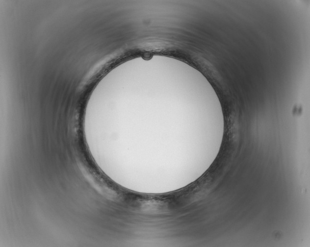 X0000112860400200909111514