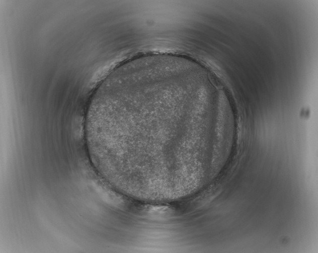 X0000112860401200909111514