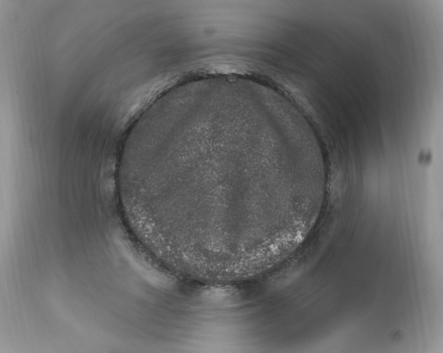 X0000112860402200909111514