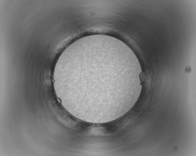 X0000112860403200909111514