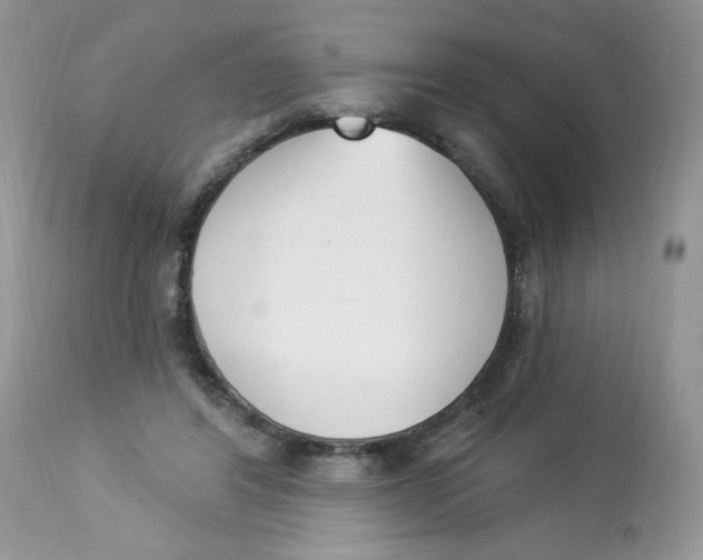 X0000112860404200909111514