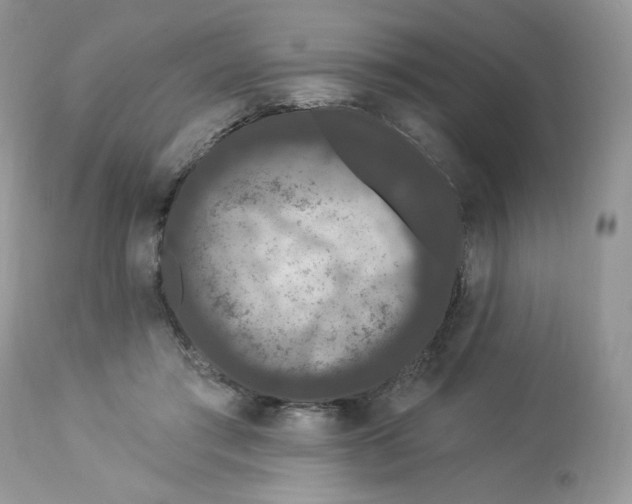 X0000112860405200909111514