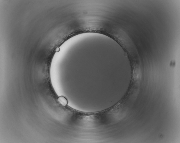 X0000112860411200909111513