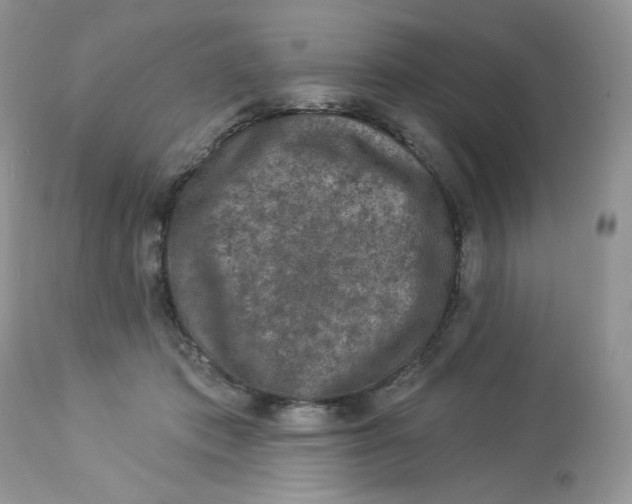 X0000112860413200909111513