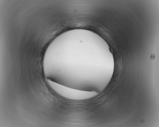 X0000112860415200909111513