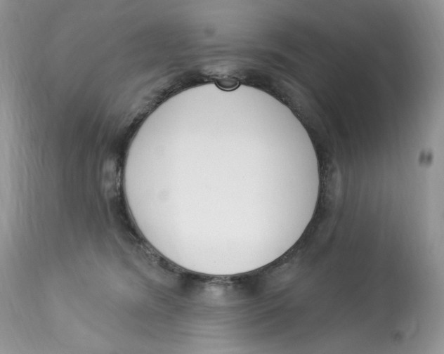 X0000112860420200909111513