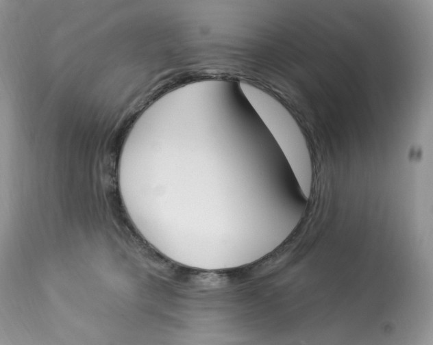 X0000112860421200909111513