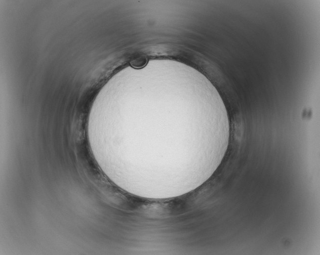 X0000112860422200909111513