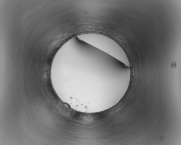 X0000112860423200909111513