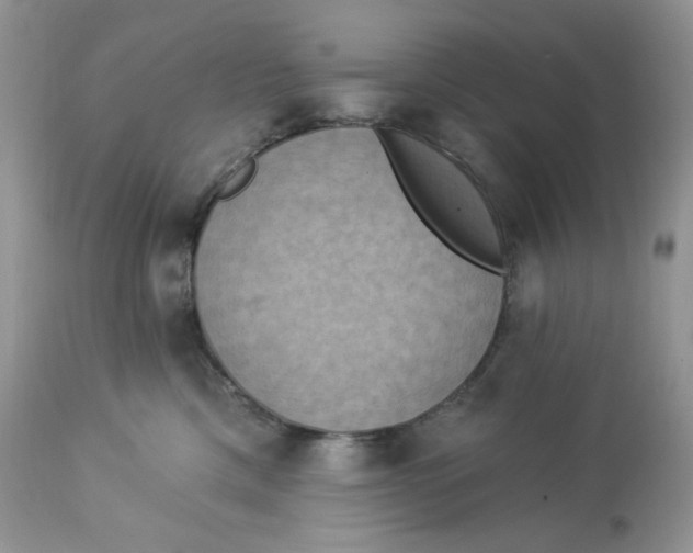 X0000112860425200909111513