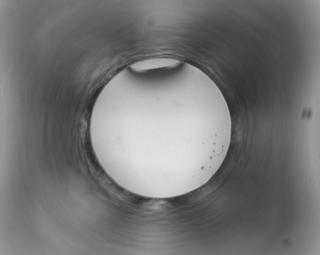 X0000112860427200909111513