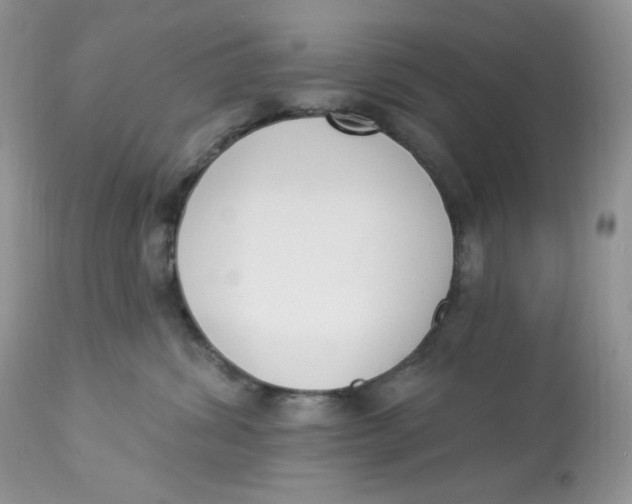 X0000112860428200909111513