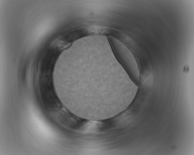 X0000112860429200909111513