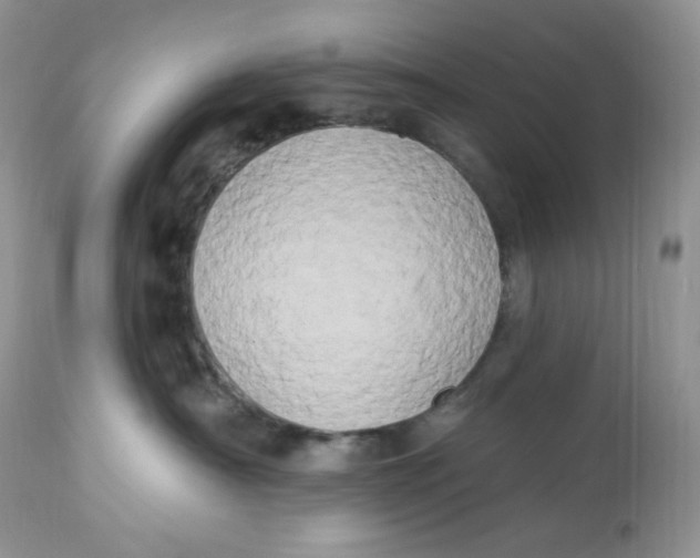 X0000112860430200909111513