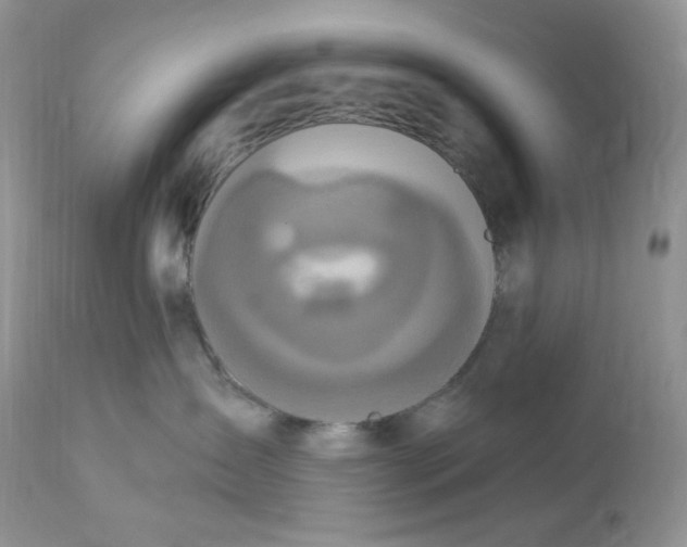 X0000112860431200909111513