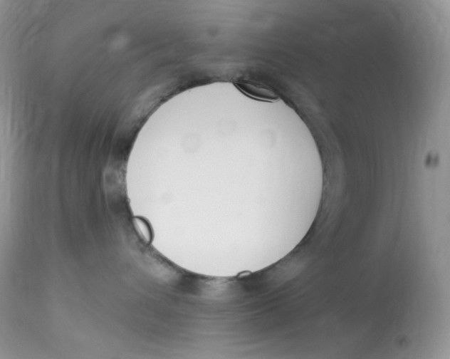 X0000112860432200909111513