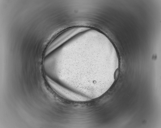 X0000112860434200909111512