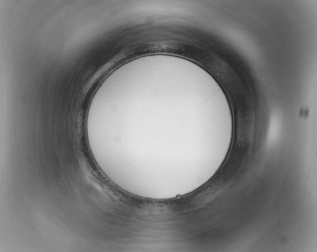 X0000112860435200909111512