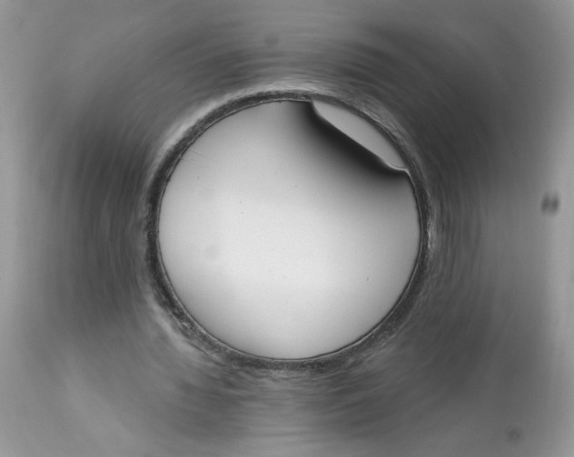 X0000112860436200909111512