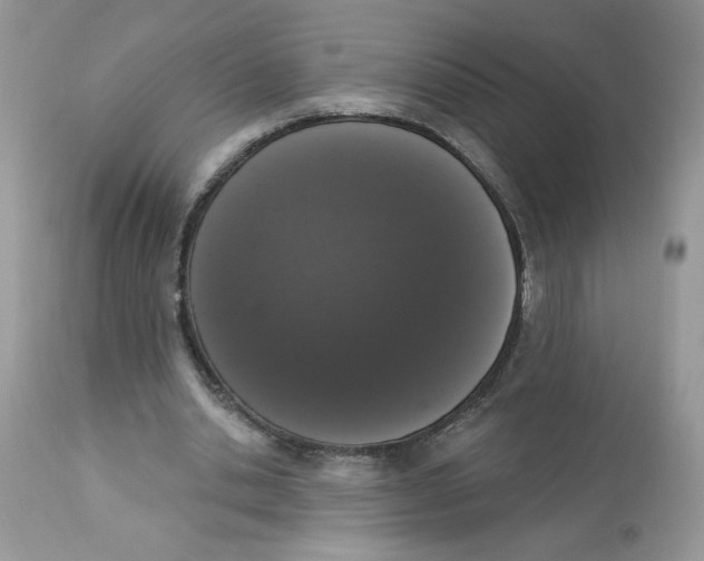 X0000112860438200909111512