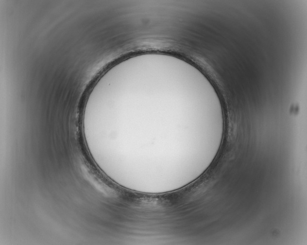 X0000112860439200909111512