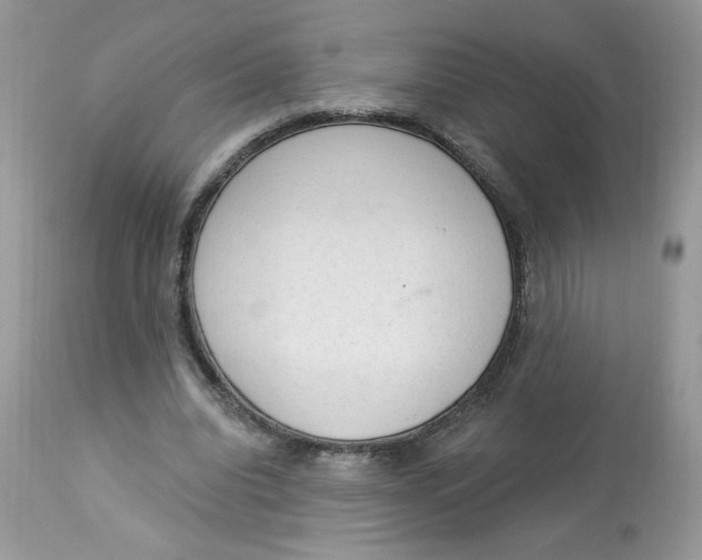 X0000112860440200909111512