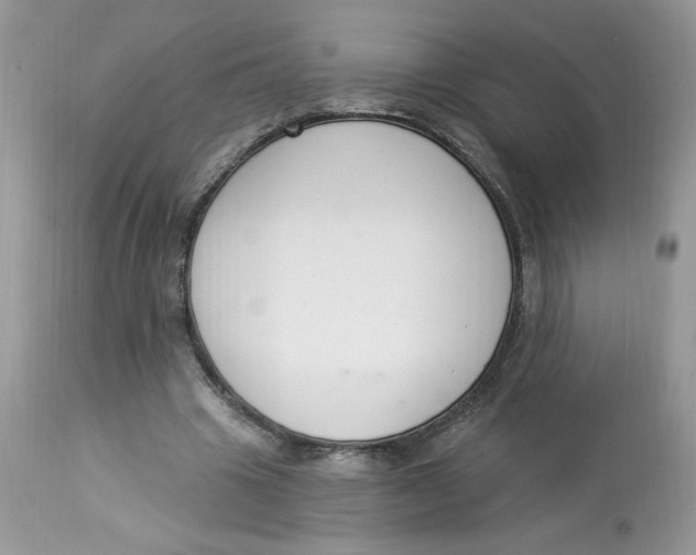 X0000112860441200909111512