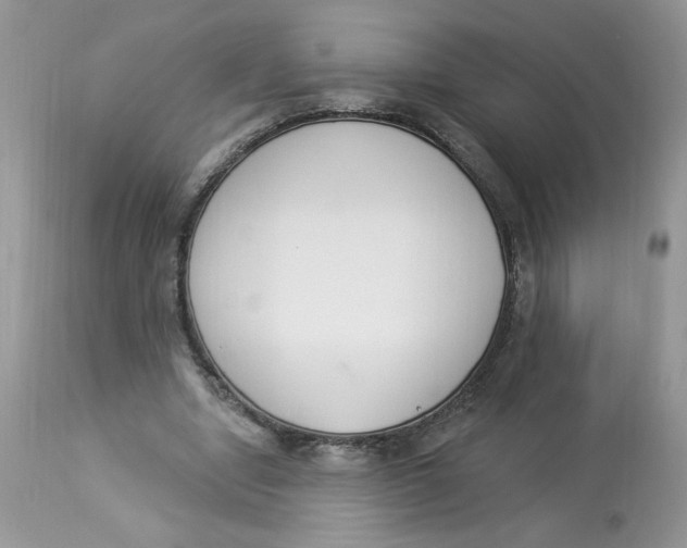 X0000112860442200909111512