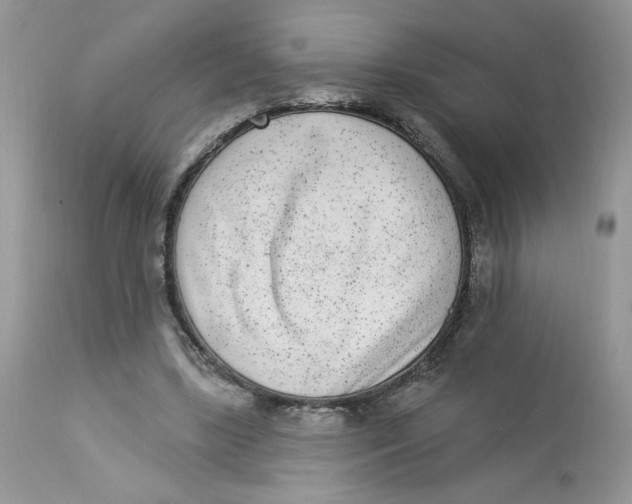 X0000112860443200909111512