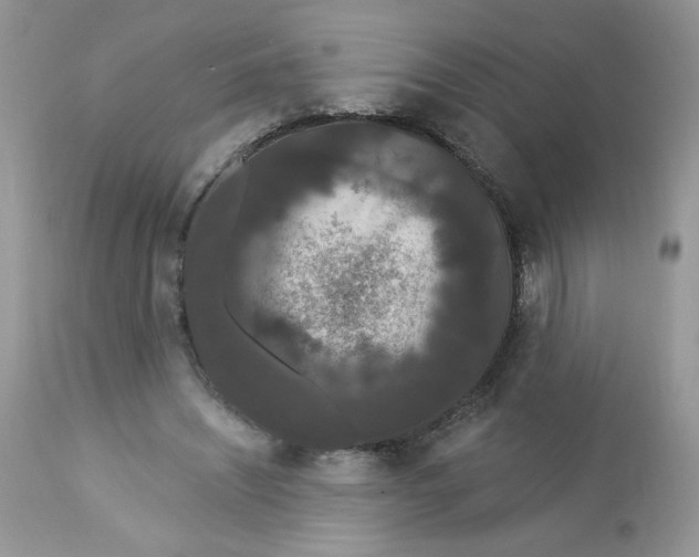 X0000112860444200909111512