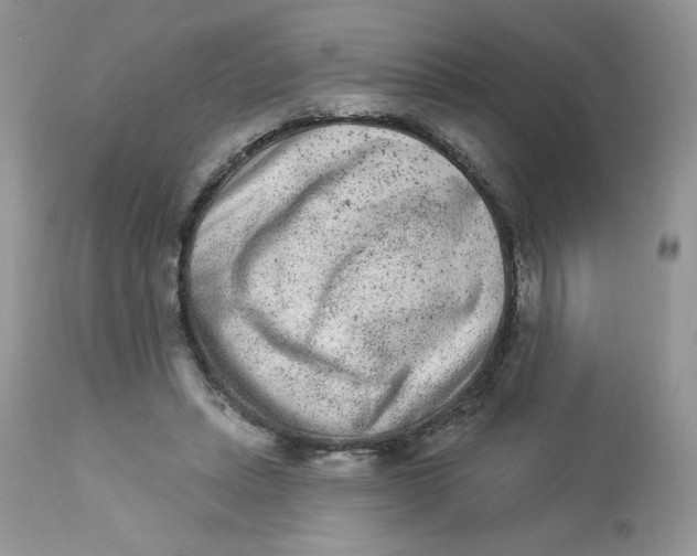 X0000112860447200909111512