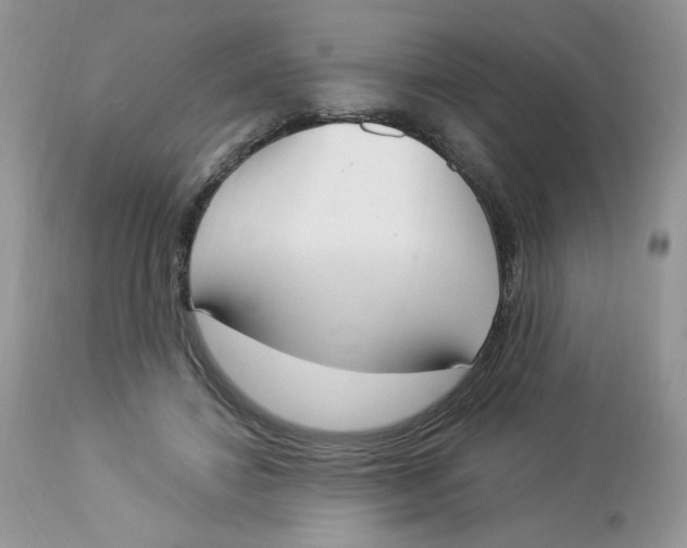 X0000112860452200909111513