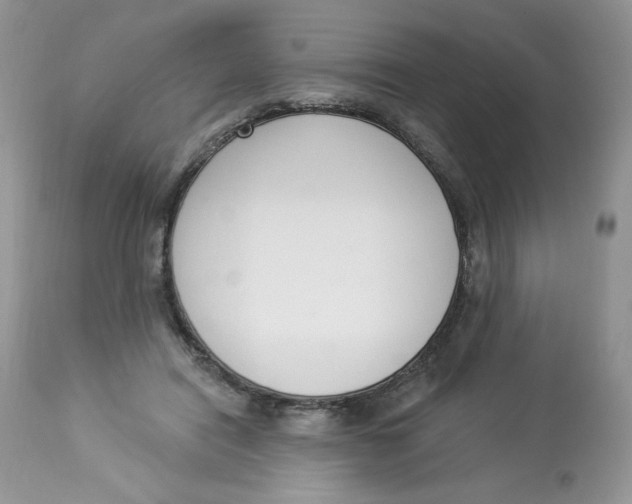 X0000112860454200909111513