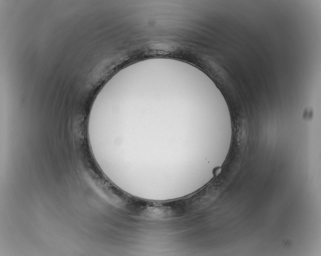 X0000112860455200909111513