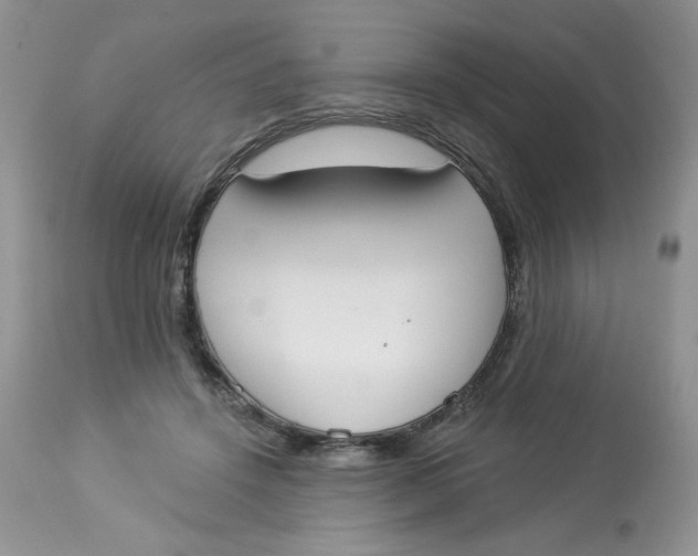 X0000112860456200909111513