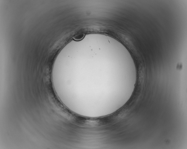 X0000112860457200909111513