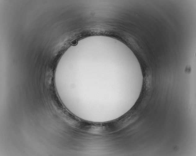 X0000112860458200909111513