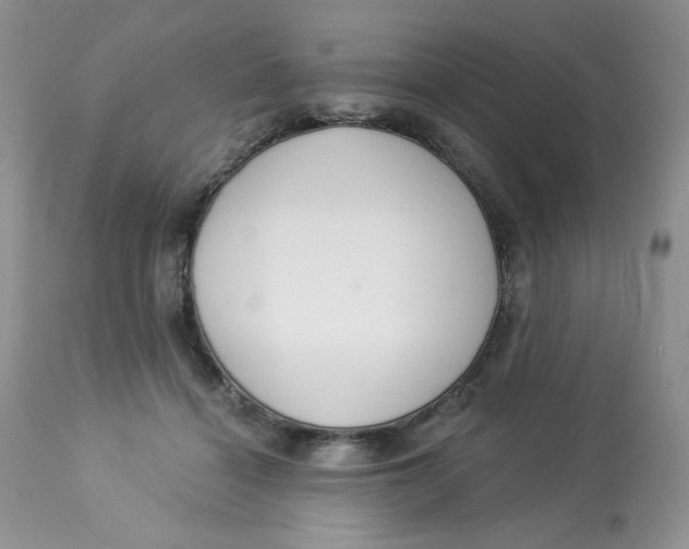 X0000112860460200909111513