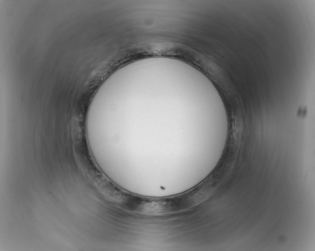 X0000112860461200909111513