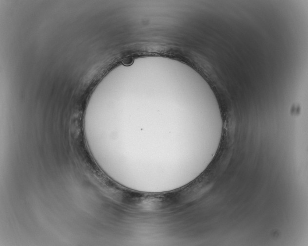 X0000112860462200909111513