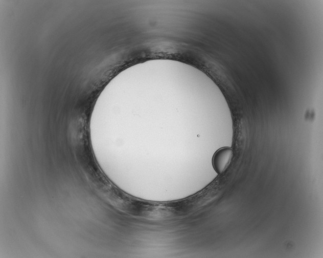 X0000112860463200909111513