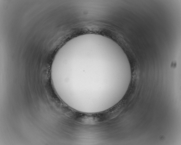 X0000112860464200909111513