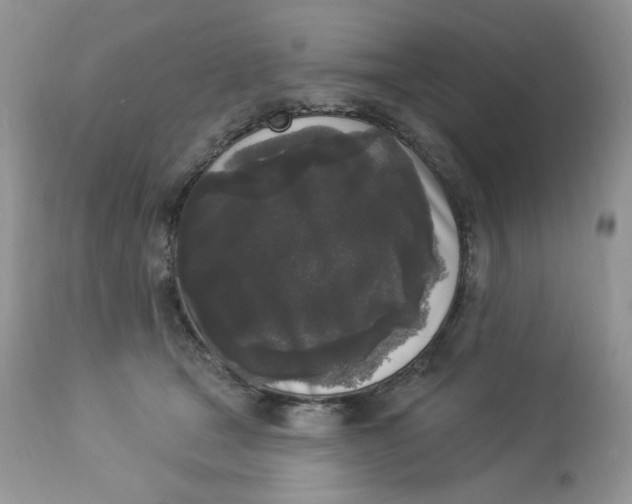 X0000112860465200909111513